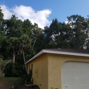 Elvis Tree Climber - Tree Services Near Me Elvis Tree Climber - Tree Services Near Me