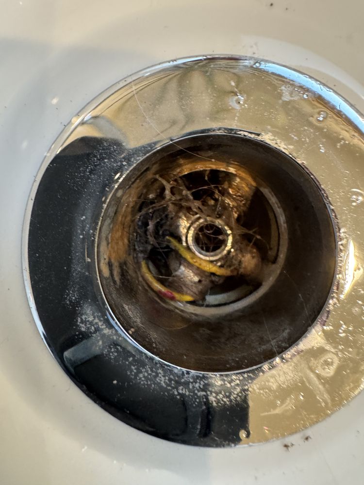 Slide of Root Busters