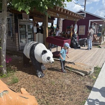 Showcase of Citrus - Attraction Farms Near Me - Clermont, Florida