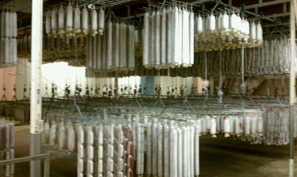 P G Molinari & Sons by null