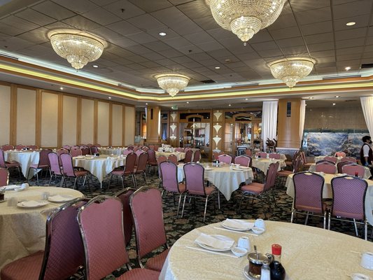 Dynasty Chinese Cuisine by null