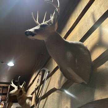 ROCKING K RANCH - Updated September 2025 - 339 Photos & 331 Reviews ...