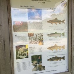 Sandwich Fish Hatchery