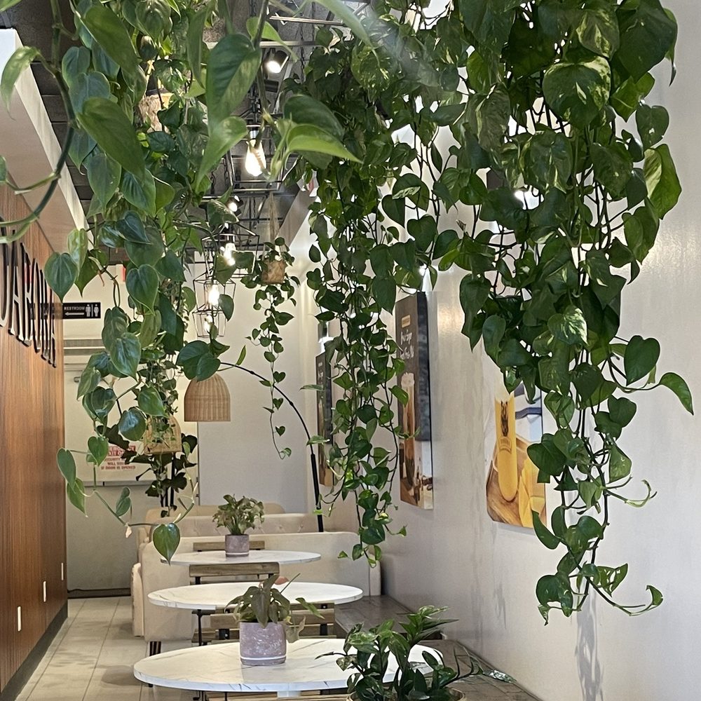 Daboba - Lovely seating area - Bubble Tea Near Me - Santee, California Daboba - Lovely seating area - Bubble Tea Near Me - Santee, California