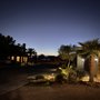 Photo of Cacti Landscapes