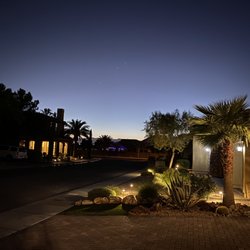 Cacti Landscapes