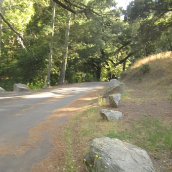 Cerro Alto Campground - Road leading towards the exit of the camp ground from our camp site. - Campgrounds Near Me - Morro Bay, California Cerro Alto Campground - Road leading towards the exit of the camp ground from our camp site. - Campgrounds Near Me - Morro Bay, California