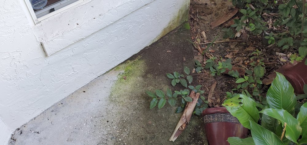 Slide of Under Pressure Pressure Washing