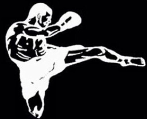 IMTK International Muay Thai Kickboxing Image