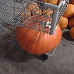 2nd Chance Bail Bonds - A pumpkin under a cage.