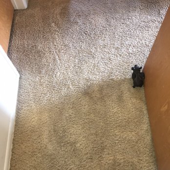 D-Best Carpet Care - Clean carpets - Carpet Cleaning Near Me