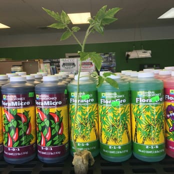 The Grow Hub - Nurseries & Gardening Near Me - Littleton, Massachusetts