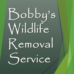 Bobby's Wildlife Removal