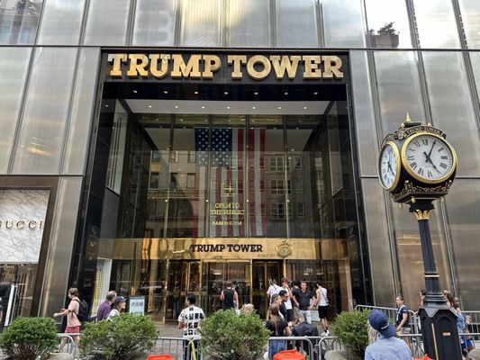Trump Tower by null