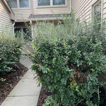 Associa Chicagoland - Our landscapers way of maintenance.  Nice huh?  Associa non respite - Property Management Near Me - Schaumburg, Illinois