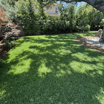 Joel & Sons Landscape Construction - New sod - Landscaping Near Me Joel & Sons Landscape Construction - New sod - Landscaping Near Me