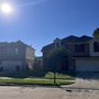 Photo of Alfaro's Tree & Dumpster Services