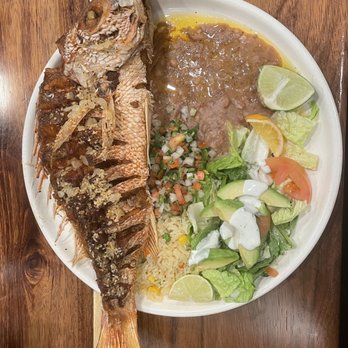 El Tejado Mexican Restaurants - The Red Snapper Plate - Mexican Near Me - Denver, Colorado El Tejado Mexican Restaurants - The Red Snapper Plate - Mexican Near Me - Denver, Colorado