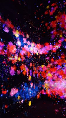 teamLab Borderless: MORI Building DIGITAL ART MUSEUM by null