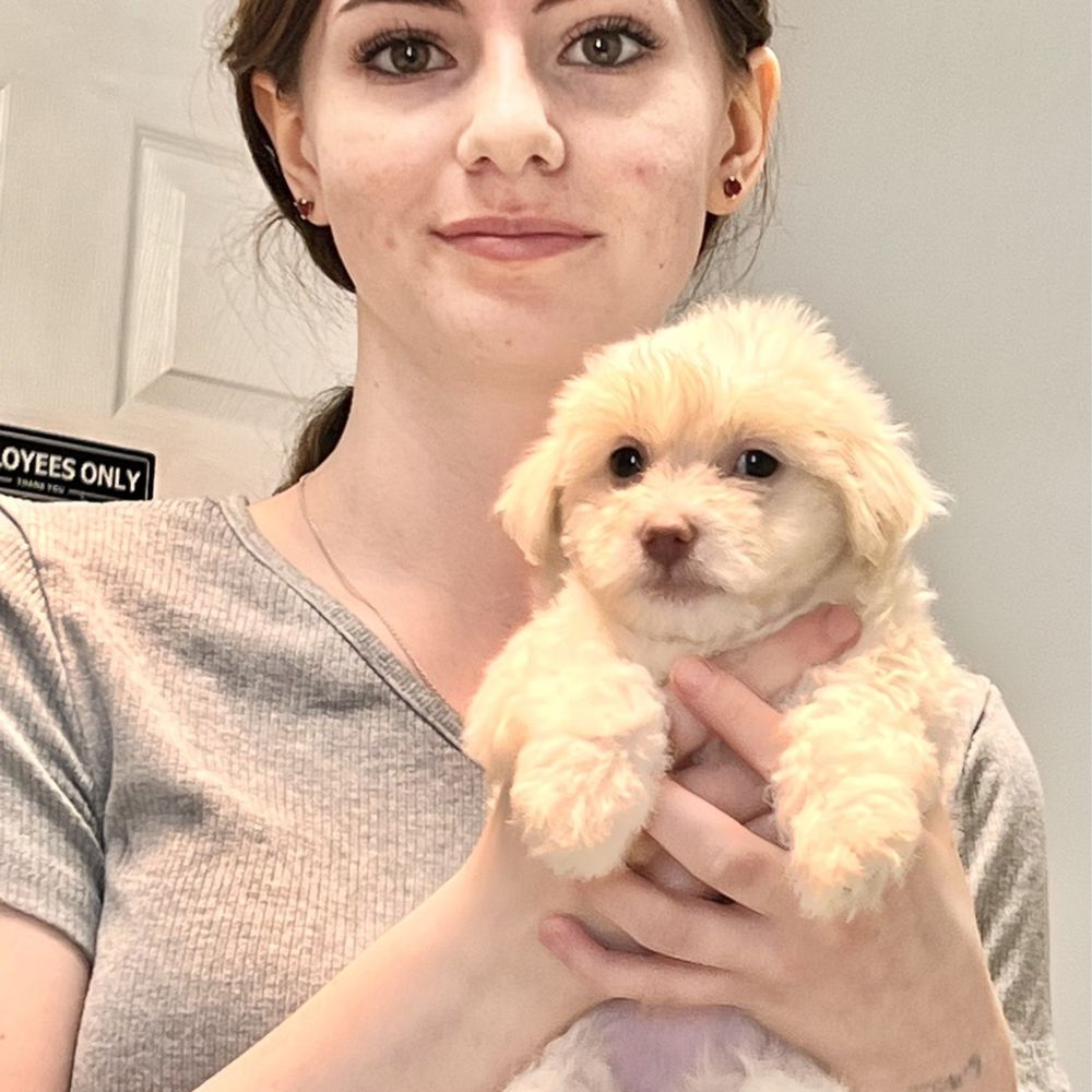 Kerry's Pet Vet - Danielle with one of our puppies during her well check - Veterinarians Near Me - Conroe, Texas Kerry's Pet Vet - Danielle with one of our puppies during her well check - Veterinarians Near Me - Conroe, Texas