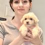 Photo of Kerry's Pet Vet
