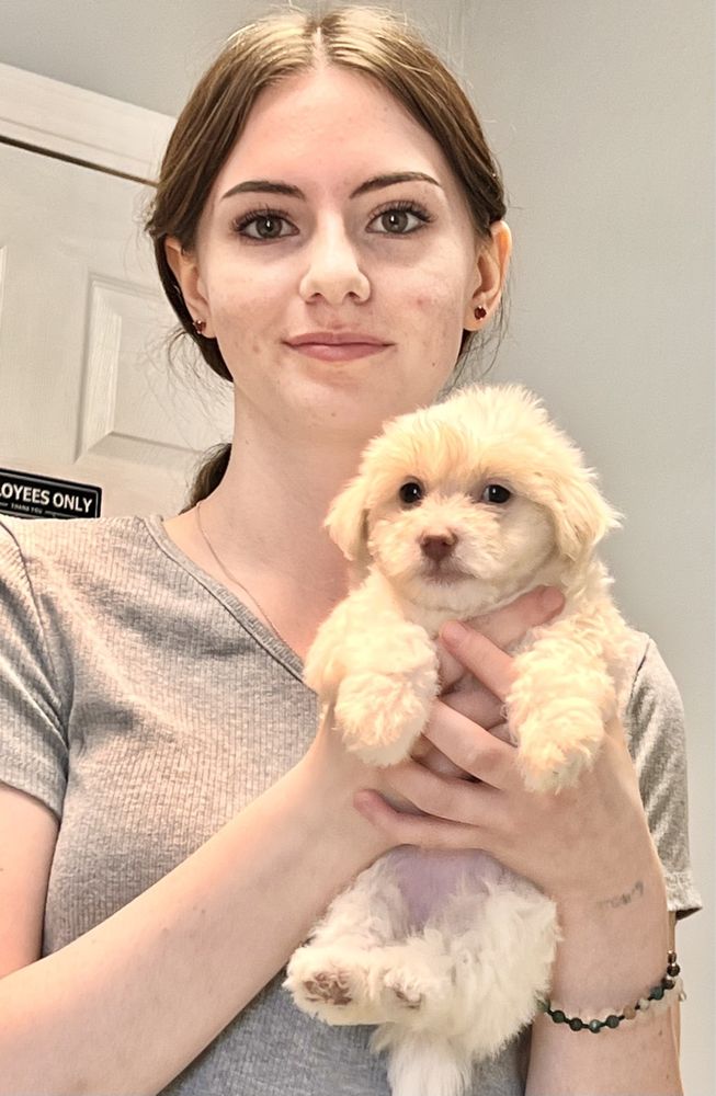 Kerry's Pet Vet Image