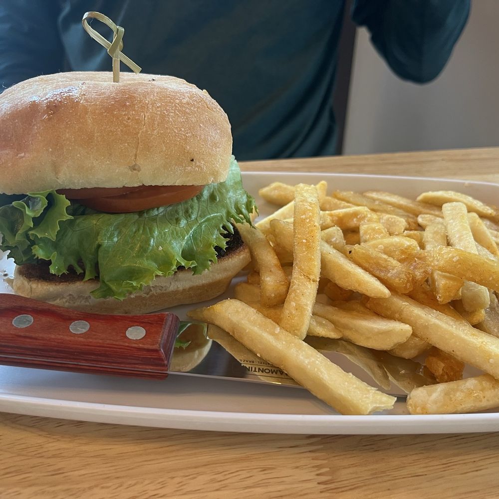 Bison burger