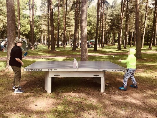 Thetford Forest by null