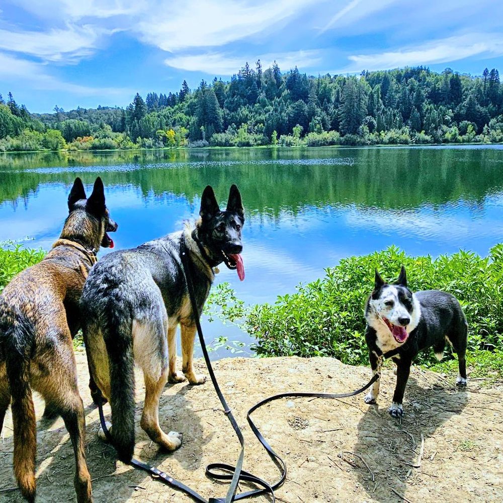 Riverfront Regional Park - Parks Near Me - Healdsburg, California