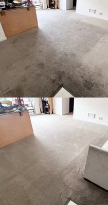 Carpet Cleaning - We offer an innovative way of cleaning carpet, upholstery, and rugs without chemicals, residue, or long drying time. This is not the old fashioned “steam cleaning method “. For more information please visit our website. Carpet Cleaning - We offer an innovative way of cleaning carpet, upholstery, and rugs without chemicals, residue, or long drying time. This is not the old fashioned “steam cleaning method “. For more information please visit our website.