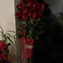Sarabella Flower Shoppe - Tall ans fresh and big