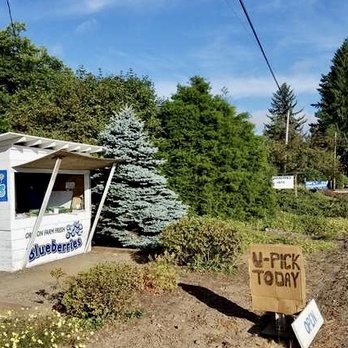 Browning Blueberries - Streetview - Fruits & Veggies Near Me - Hood River, Oregon