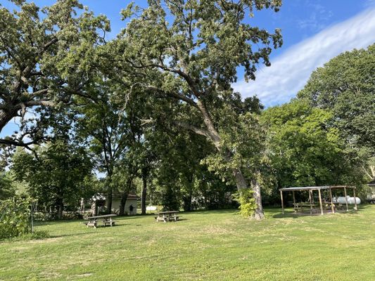 LT Organic Farm Restaurant by null