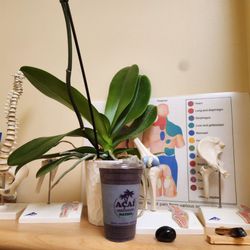Acai Nation