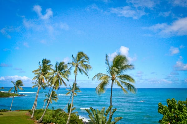 Kauai vacation rental on the Royal Coconut Coast at Wailua Bay, #204 by null