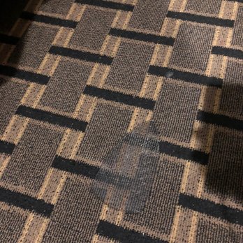 Gardena Terrace Inn - One of the many burns / stains on the carpets - Hotels Near Me - Gardena, California