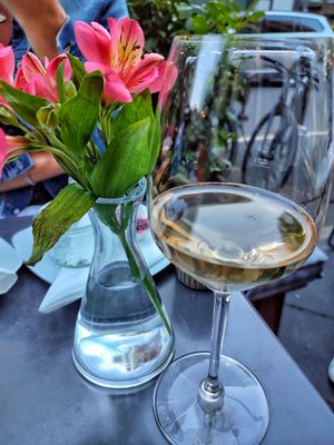 EAST GRAPE - Wein Events by null