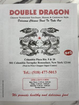 Double Dragon by null