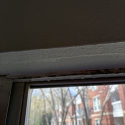 The Residence at White River Apartments - Moldy window