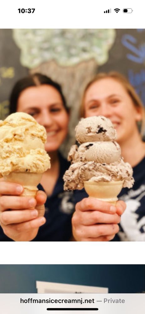 Hoffman's Ice Cream & Deli Logo