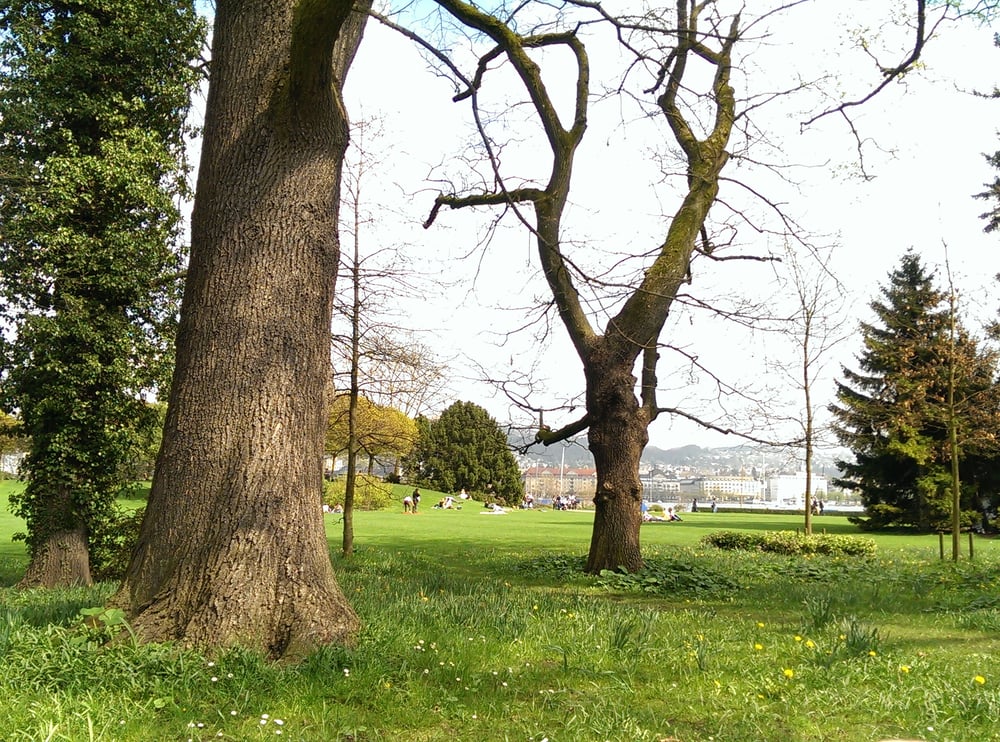 Rentenwiese