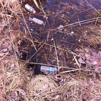 Beaubien Woods - Whoever you are...I hate you oh so much - Hiking Near Me - Chicago, Illinois
