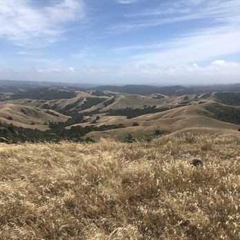 Las Trampas Regional Wilderness - Las trampas - Parks Near Me - San Ramon, California Las Trampas Regional Wilderness - Las trampas - Parks Near Me - San Ramon, California