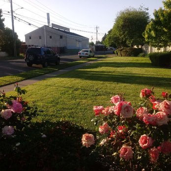 The Berkshire - Bershire lawn and roses - Assisted Living Facilities Near Me - Napa, California The Berkshire - Bershire lawn and roses - Assisted Living Facilities Near Me - Napa, California