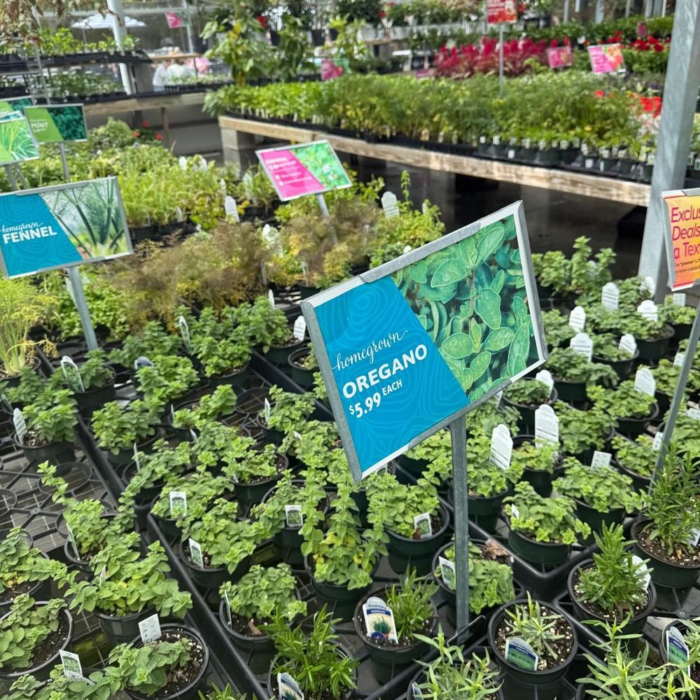 Anderson's - Virginia Beach - Herbs - Accessories Near Me - Virginia Beach, Virginia