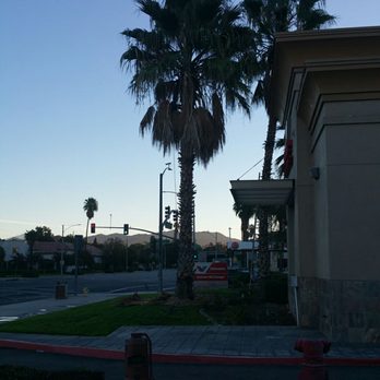 Rivera Tree Service - If you need palm trees trimming. .give us an call for free estimate. 909 202 9430 - Tree Services Near Me