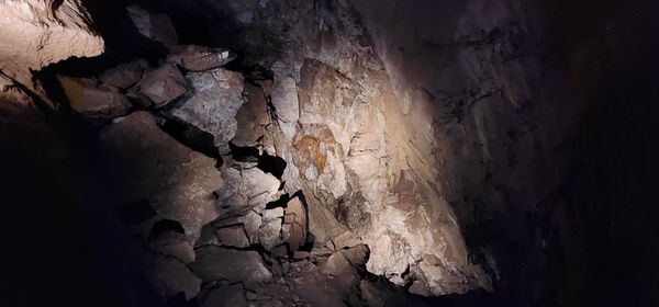 Oregon Caves National Monument & Preserve by null