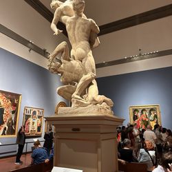 Galleria dell'Accademia - It's a kidnapping.  Seriously.