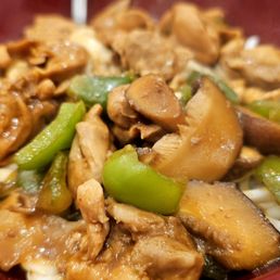 Yang 's Braised Chicken Yang 's Braised Chicken