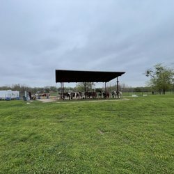 This is where the riders are matched with their horses